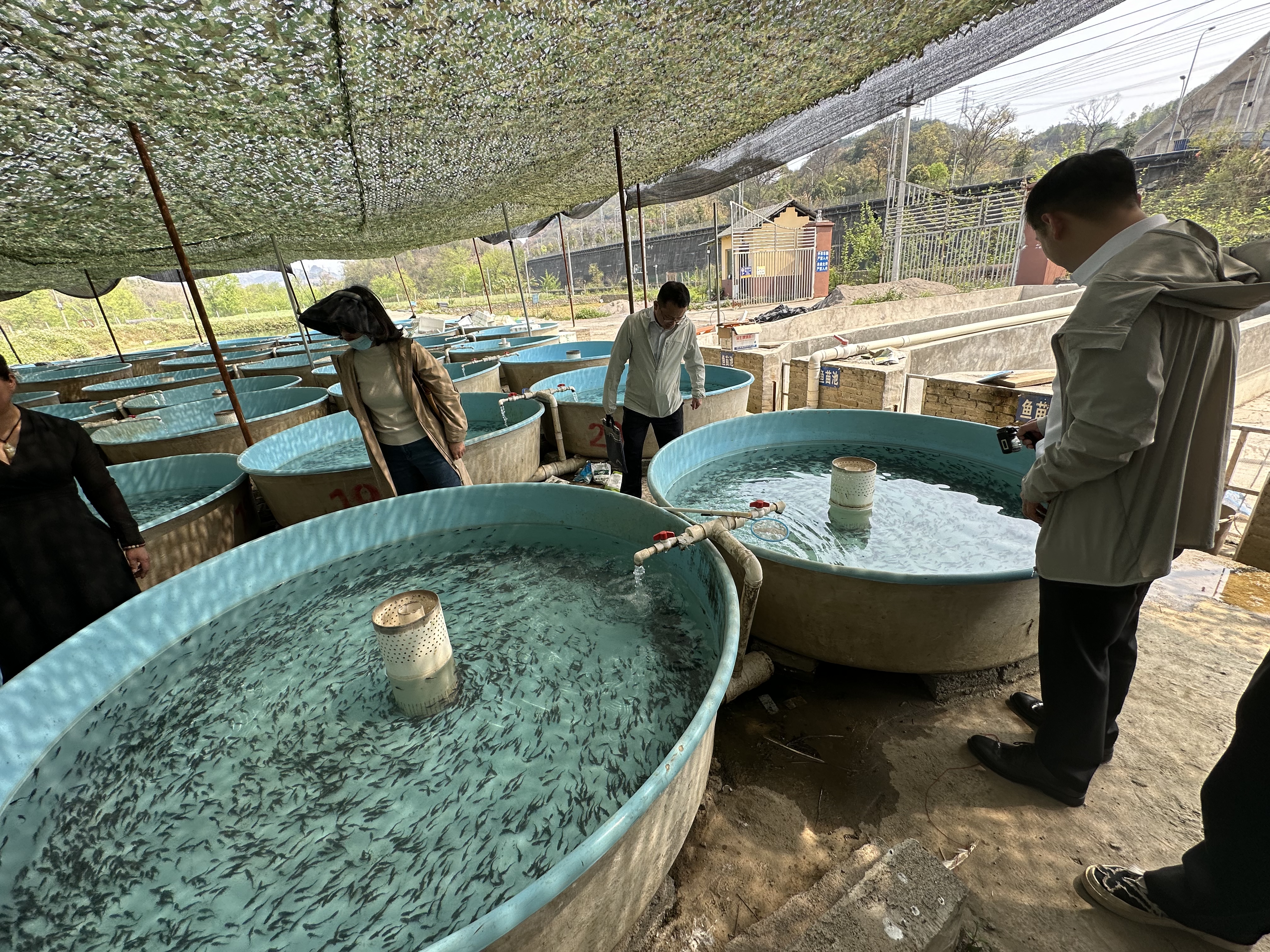 展示圖片